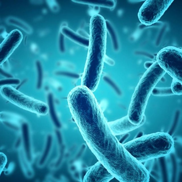Microbiome, your best friend!